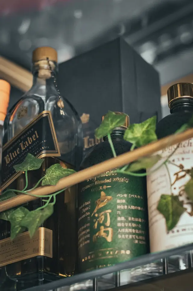 Wakame — gallery photo 88